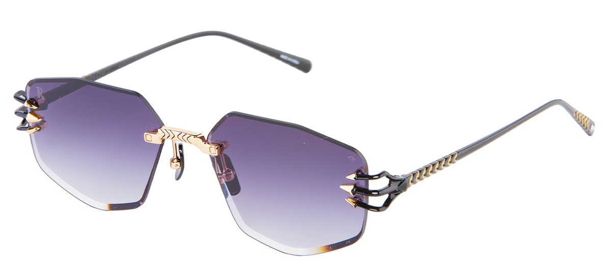 Renaissance XXXXIV C5